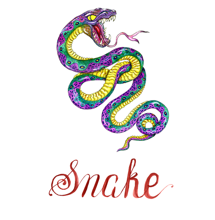 Гороскоп год змеи лев. Год змеи. Знак зодиака змея. Китайский гороскоп змея. Год желтой змеи.